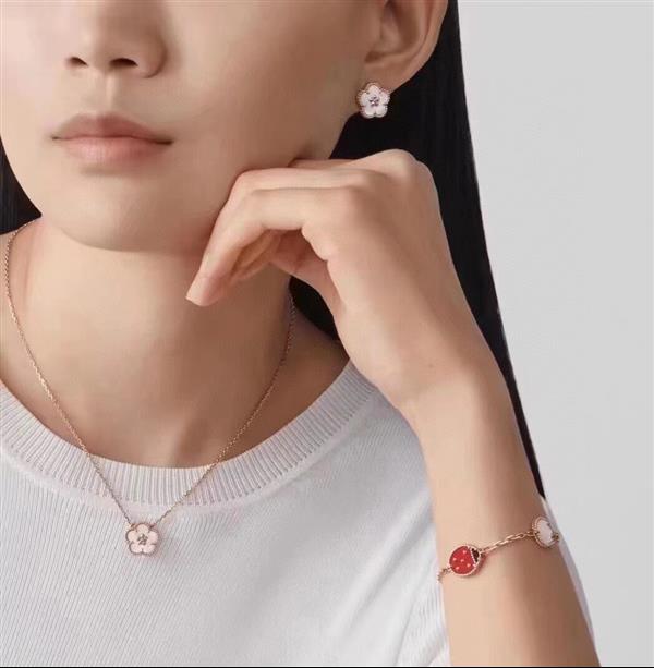 202426145920154 4550